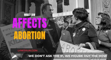 Laws Impacting Abortion: Understanding Legal Restrictions