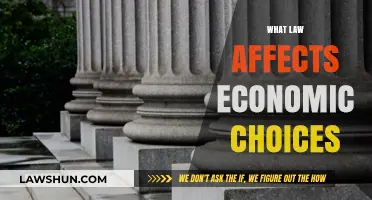 How Legal Frameworks Shape Economic Decisions and Market Behavior