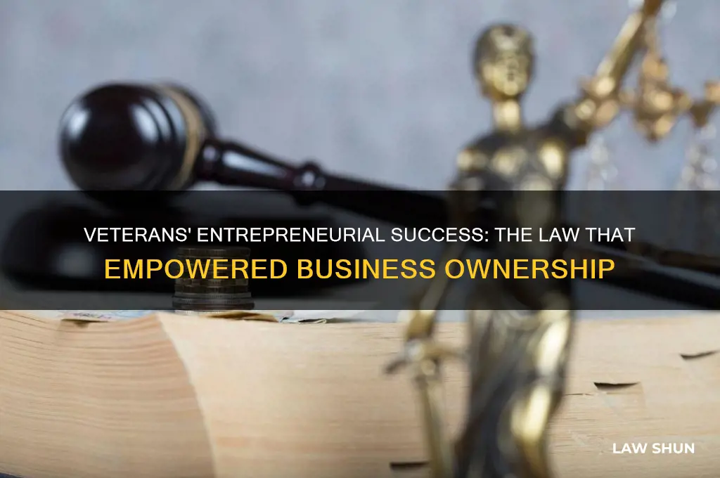 what law aided veterans in setting themselves up in buisness