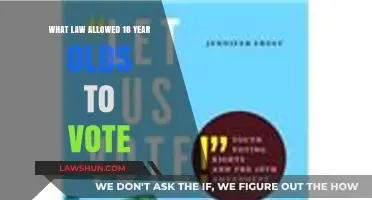 The 26th Amendment: Empowering 18-Year-Olds to Vote in America
