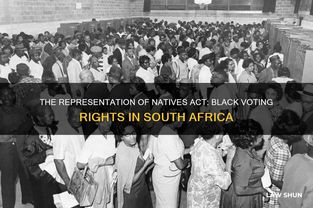 what law allowed black people to vote in south africa
