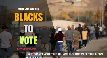 The Voting Rights Act: Empowering Black Americans to Vote
