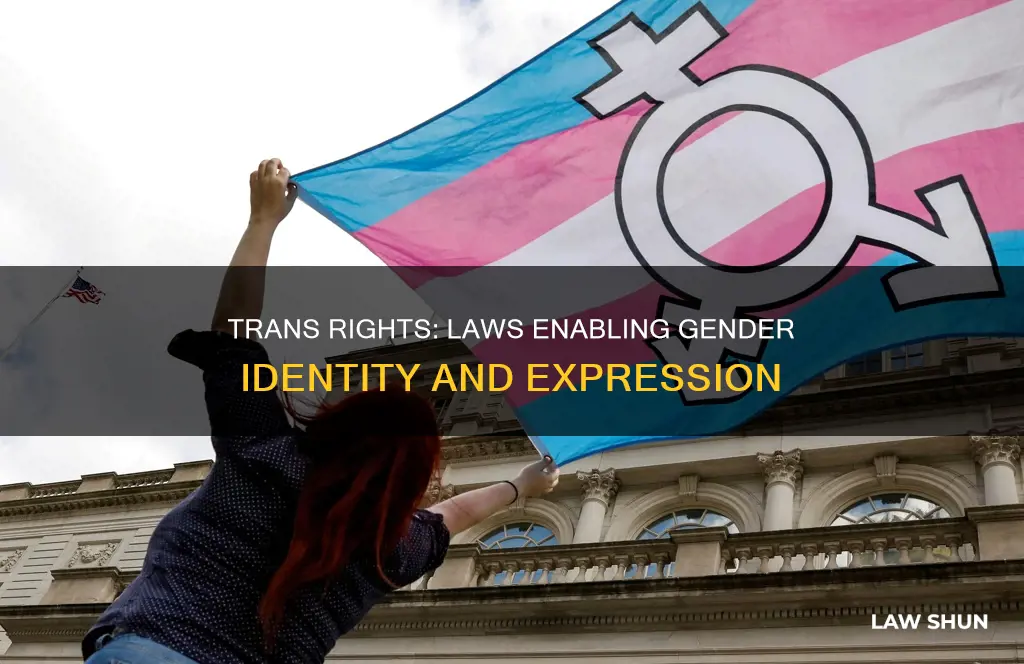 what law allowed people to become transgender