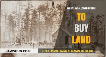 Understanding the Homestead Act: How It Enabled Land Ownership
