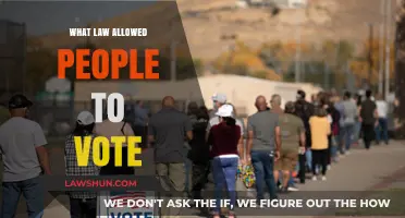 The Landmark Voting Rights Act: Empowering Citizens to Cast Their Votes