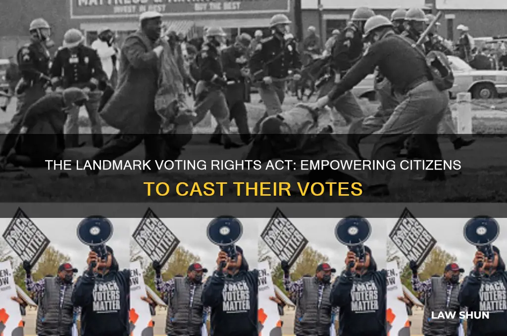 what law allowed people to vote
