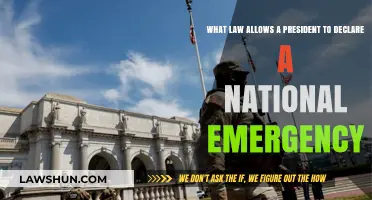 Understanding the Legal Authority Behind Presidential National Emergency Declarations