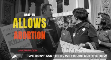 Abortion Laws: Understanding Your Rights and Freedoms