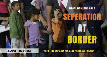 Understanding the Legal Basis for Child Separation at the Border