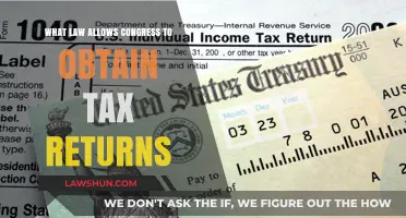 Congress' Tax Return Powers Explained