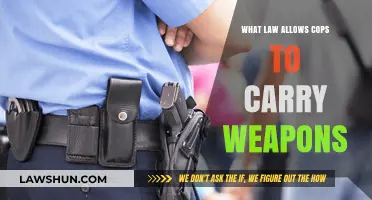 Understanding the Legal Authority for Police Officers to Carry Firearms