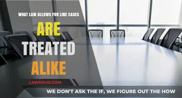 The Law of Consistency: Treating Like Cases Alike