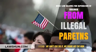 Understanding the Legal Basis for Separating Children from Undocumented Parents