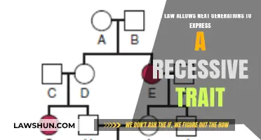 Unlocking Recessive Traits: The Genetic Law Shaping Future Generations
