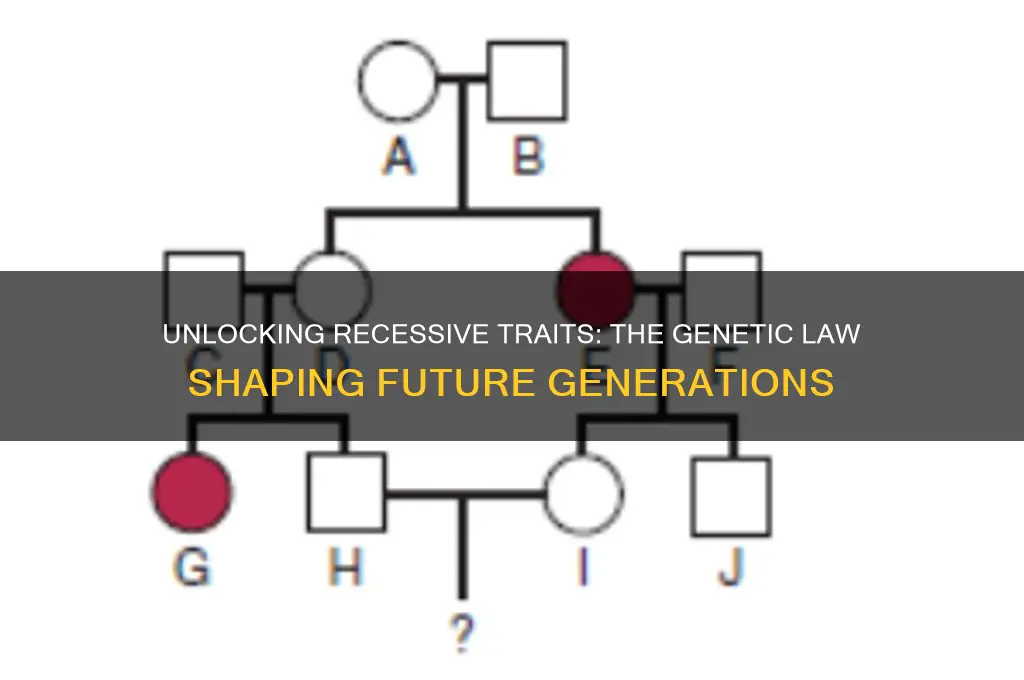 what law allows next generations to express a recessive trait