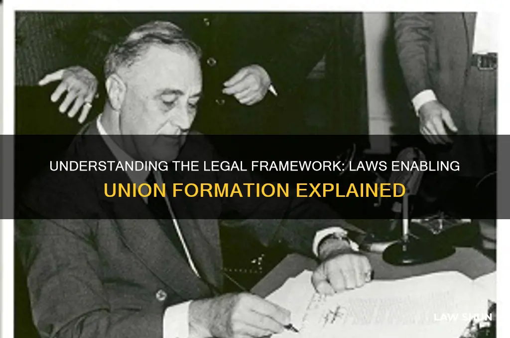 what law allows people to form unions