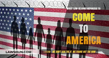 Understanding U.S. Refugee Law: Legal Pathways to America Explained