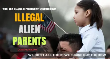Understanding the Legal Basis for Separating Children from Undocumented Parents