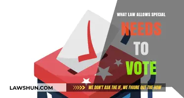 Empowering Democracy: The Law Enabling Special Needs Voters to Participate
