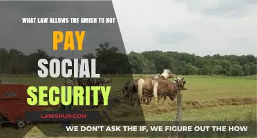 Amish Exemption: The Law Behind Their Social Security Opt-Out