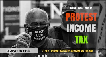 The Right to Protest Income Tax Laws
