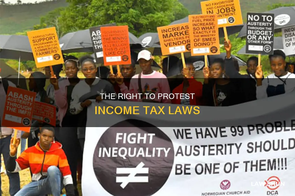 what law allows to protest income tax