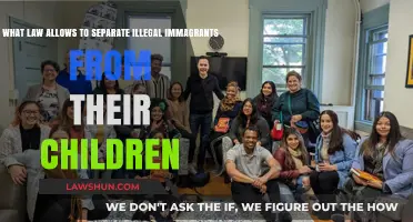 Family Separation Policy: The Legal Basis Behind Detaining Immigrant Children