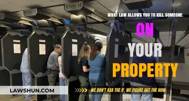 Self-Defense and Property Rights: Understanding Legal Boundaries of Lethal Force
