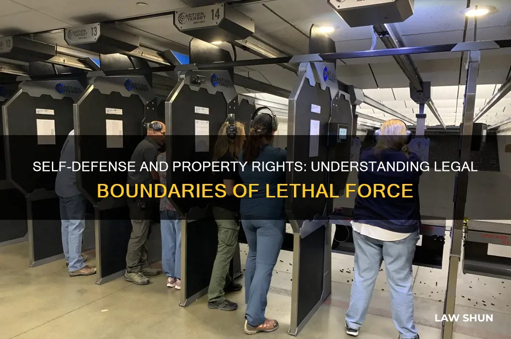 what law allows you to kill someone on your property