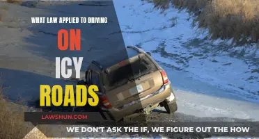 Winter Driving: Laws for Icy Roads