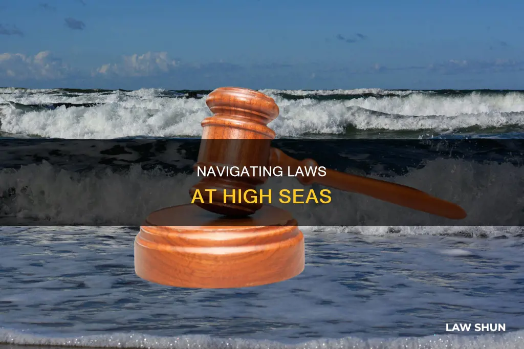 what law applies at high seas