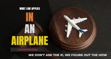 Airplane Laws: Jurisdiction in the Skies