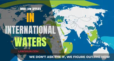 Navigating Laws in International Waters