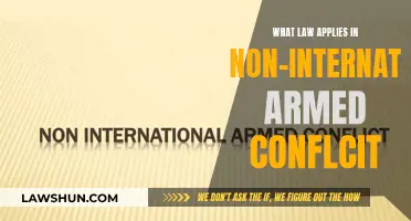 Laws Governing Non-International Armed Conflict