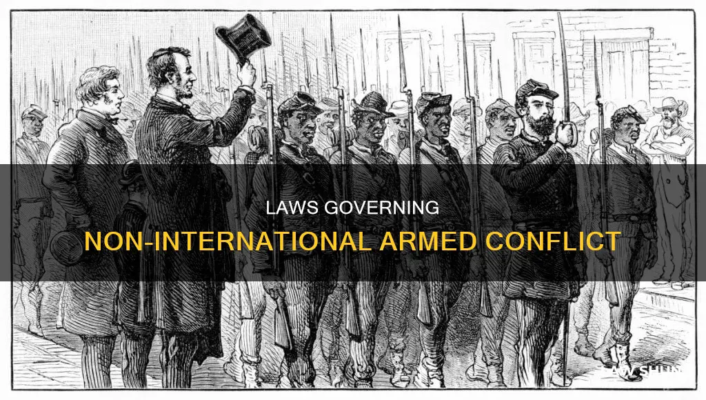 what law applies in non-international armed conflcit