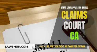 Small Claims Court: Understanding Applicable Laws in California