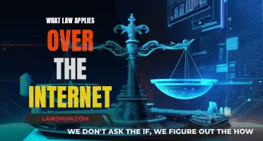 The Internet and Law: Who's in Charge?