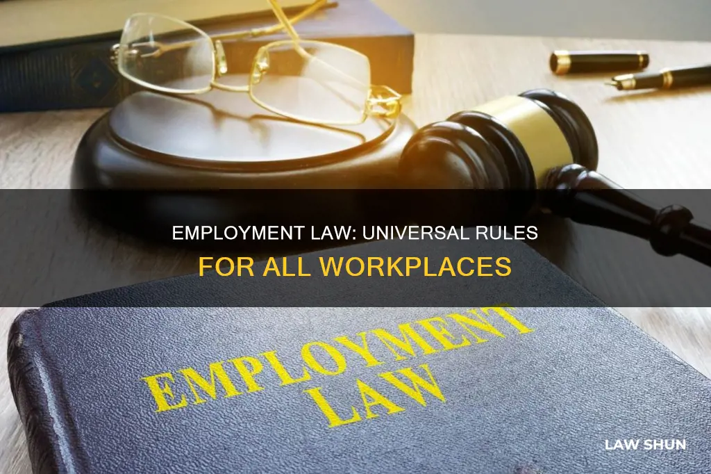 what law applies to all employment situations