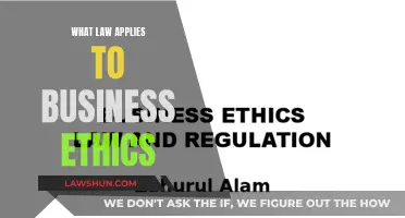 Business Ethics and the Law: Navigating the Complex Landscape