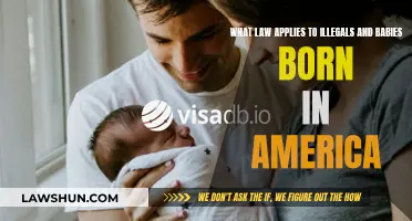 US-Born Babies of Undocumented: What's the Law?