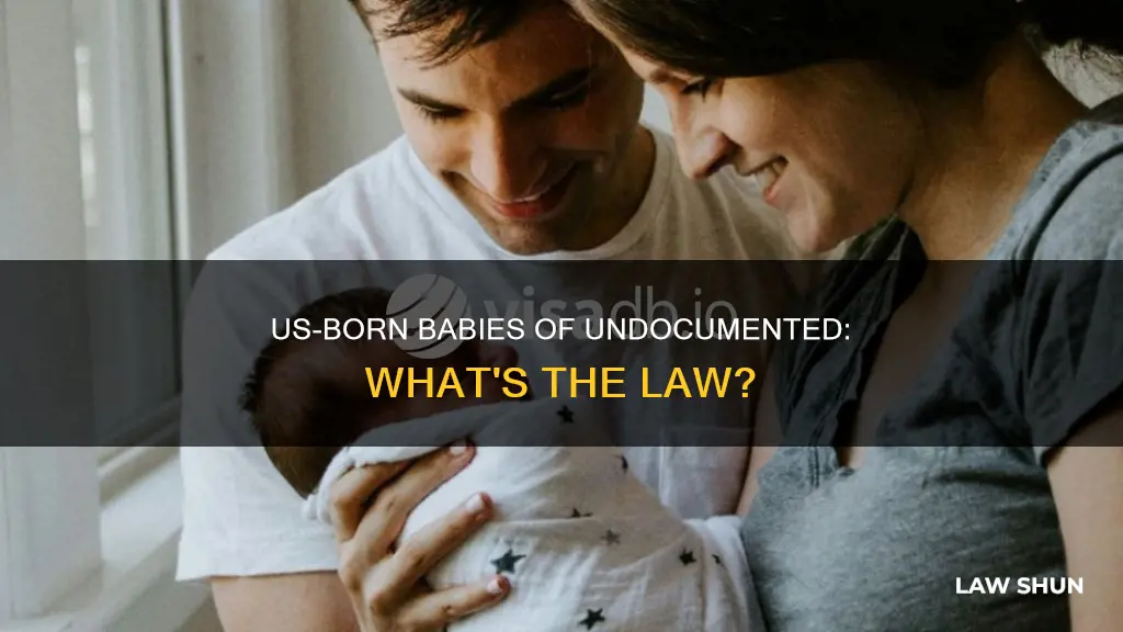 what law applies to illegals and babies born in america