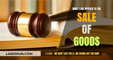 Understanding Sales of Goods Law: Which Laws Apply?