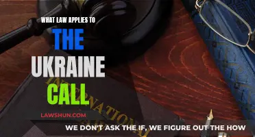 Trump-Ukraine Call: What Law Applies?