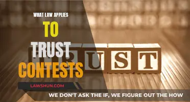 Trust Contest Laws: Which Apply and When?