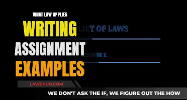 Writing Assignments: Law Application Examples