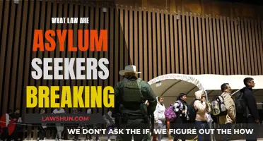 Asylum Seekers: Criminalizing the Desperate