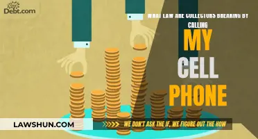 Collectors Calling Your Cell Phone: What Laws Are They Breaking?