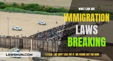 Immigration Laws: Unlawful and Unconstitutional?