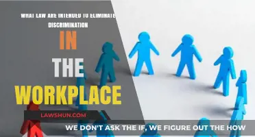 Ending Workplace Discrimination: Key Laws Promoting Equality and Fairness