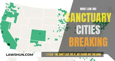 Sanctuary Cities: Breaking Laws or Human Rights Protectors?